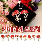 2615 카네이션 브로치 어버이날 스승의날 행사 선물