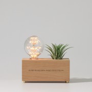 원목 각인 화분 LED 무드등