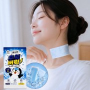 앗차거 아이스 냉감 쿨링 쿨패치 2매입 K2696